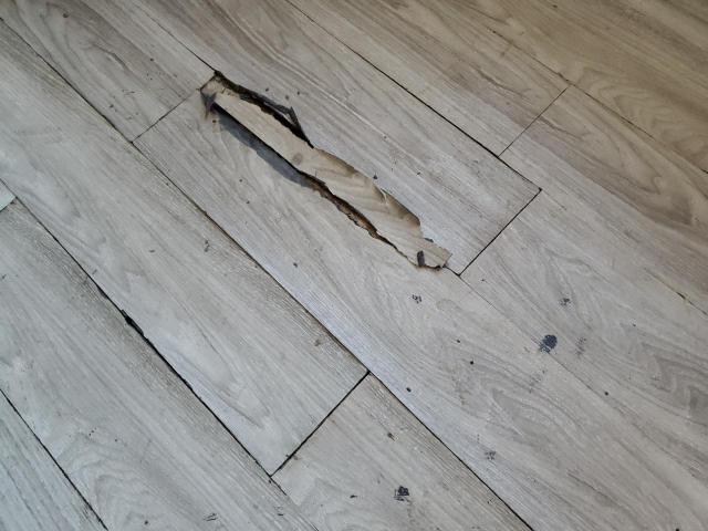 Ford Econoline E450 Super Duty Cutaway Van Image 5