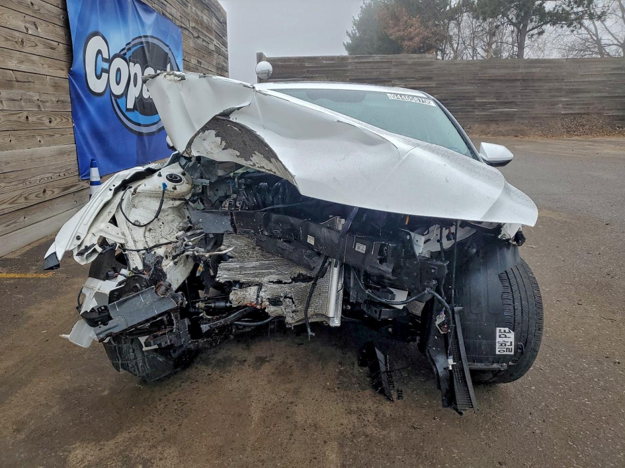 Hyundai ELANTRA Sel Image 6