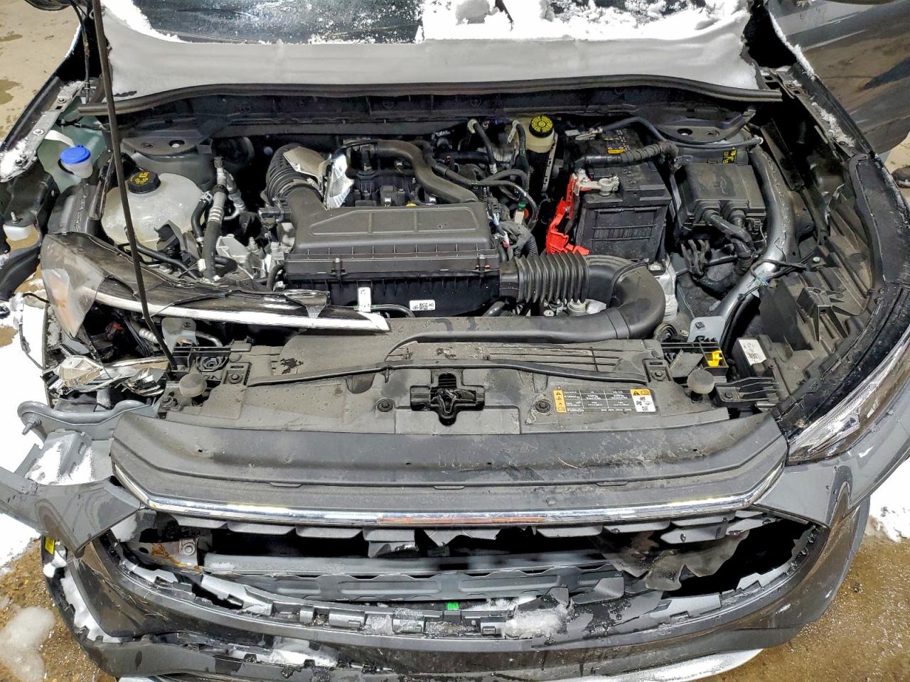 Ford Escape Active Image 2